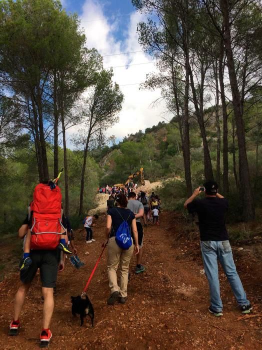 Unos 200 excursionistas se movilizan contra las torres eléctricas de Son Puig