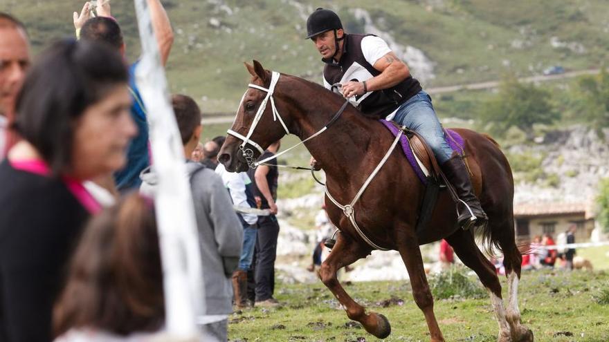 Los pastores: tradición, esfuerzo y orgullo en el corazón de los Picos