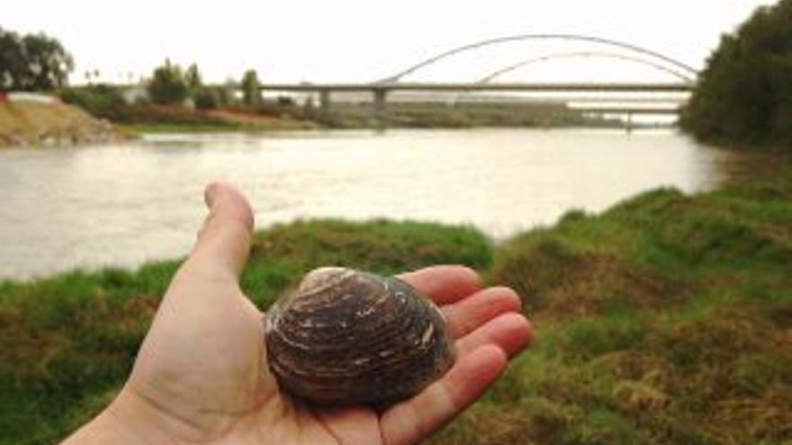 Analizarán 59 embalses del Ebro y tomarán muestras en 48 zonas del río y sus afluentes