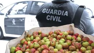 Un conflicto por el etiquetado: lo que hay detrás de la inmovilización de 40.000 litros de sidra en Villaviciosa por parte de la Guardia Civil