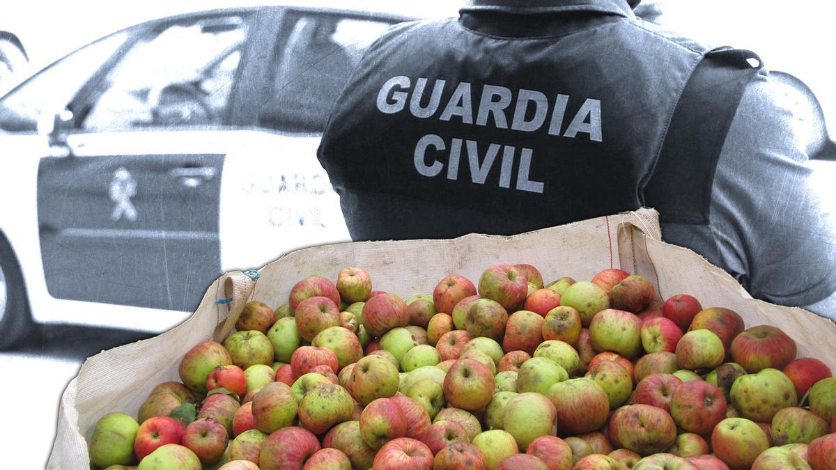OPERACIÓN SIDRA GUARDIA CIVIL | Un conflicto por el etiquetado: lo que hay  detrás de la inmovilización de 40.000 litros de sidra en Villaviciosa por  parte de la Guardia Civil