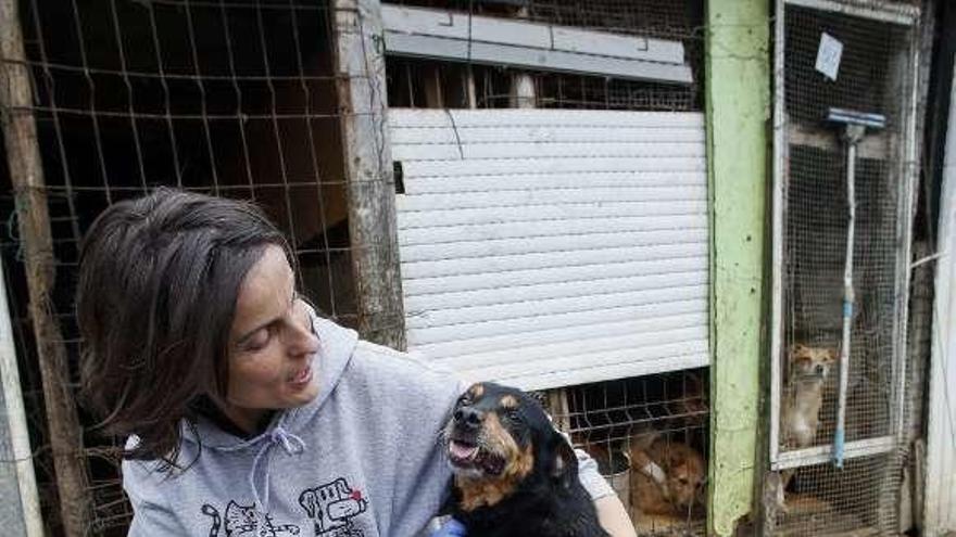 Alejandra Mier, con uno de los perros para los que se busca dueño.