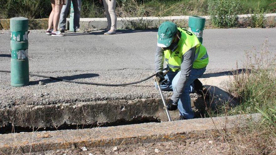 Castellón extrema los controles de mosquitos ante la previsión de gota fría