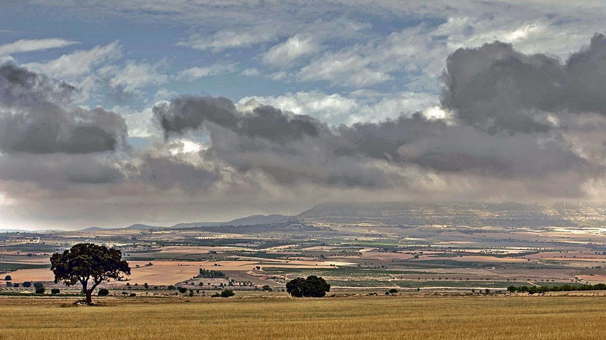 Zonas de cultivo en el Valle de Ayora. | MIGUEL LORENZO