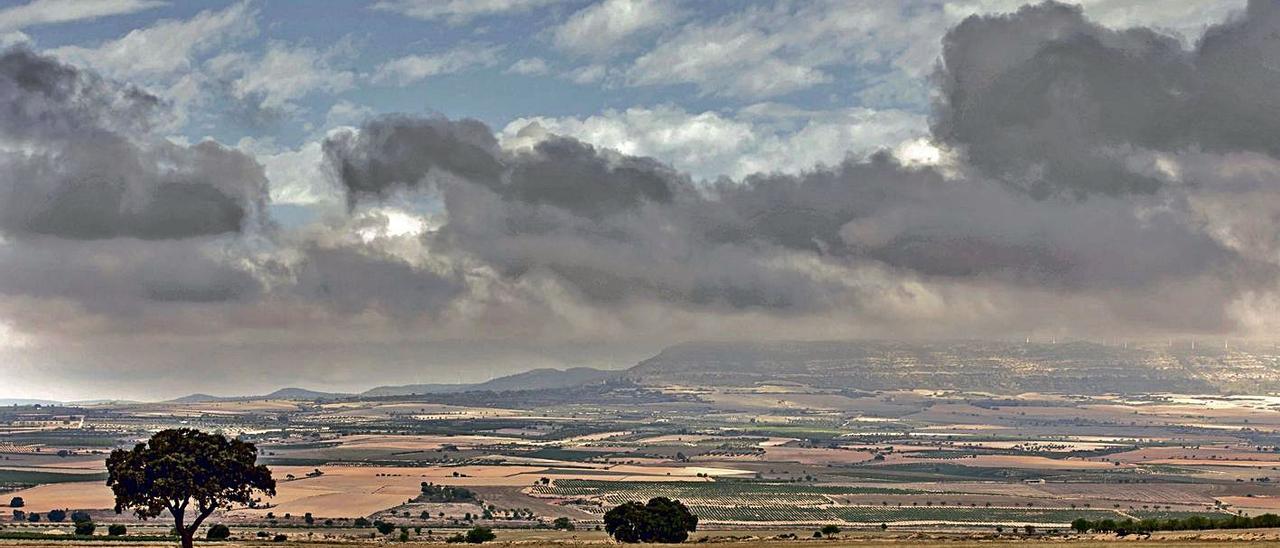 Zonas de cultivo en el Valle de Ayora. | MIGUEL LORENZO