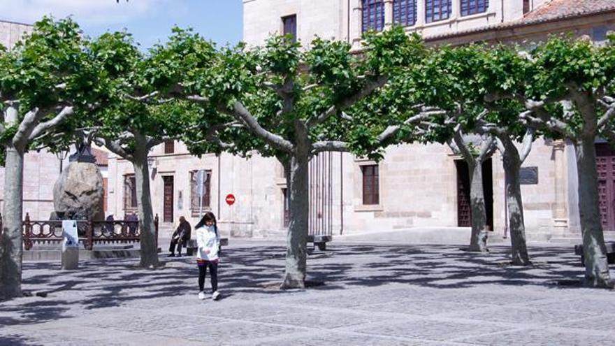 Plaza de Viriato.