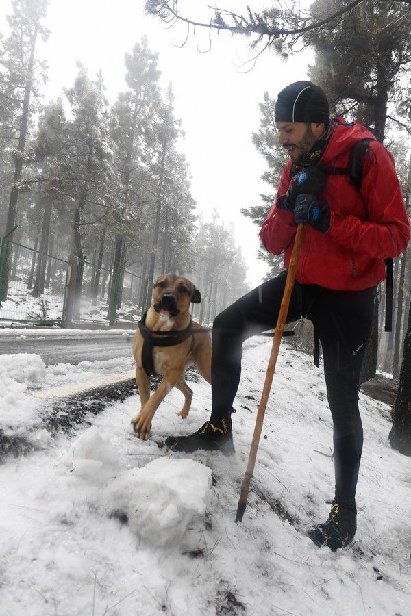 Visita a la cumbre nevada