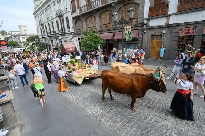 Romería del Rosario.Vegueta  | 29/09/2019 | Fotógrafo: Tony Hernández