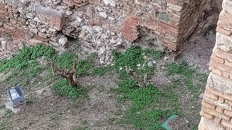 Avisan de otro derrumbe en una nueva torre de  la Alcazaba