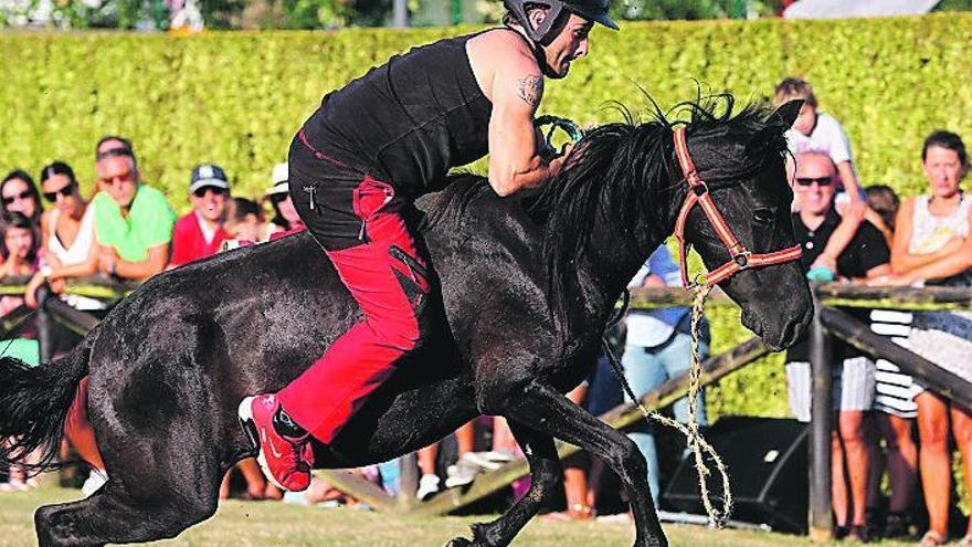 La doma de la Fiesta del Asturcón del Centro Asturiano del año pasado.