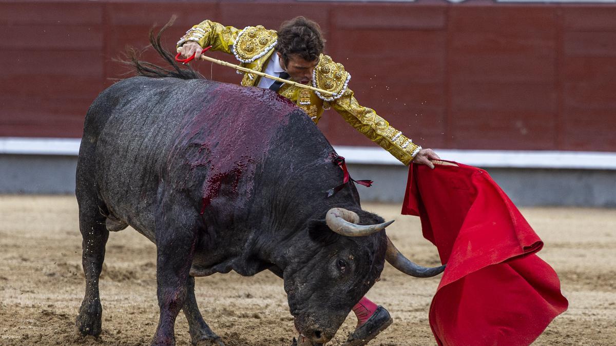 Fernando Robleño, en la corrida de esta tarde en Madrid.