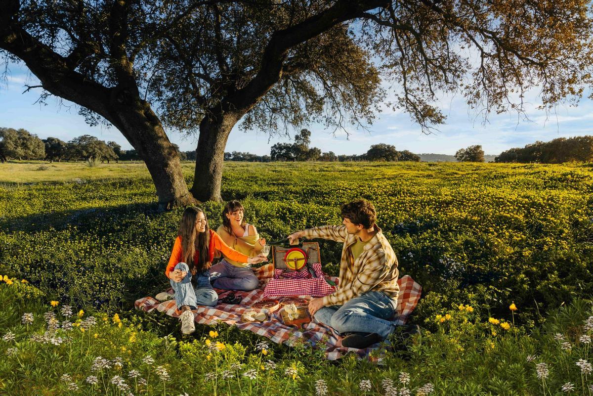 Picnic en la dehesa extremeña.
