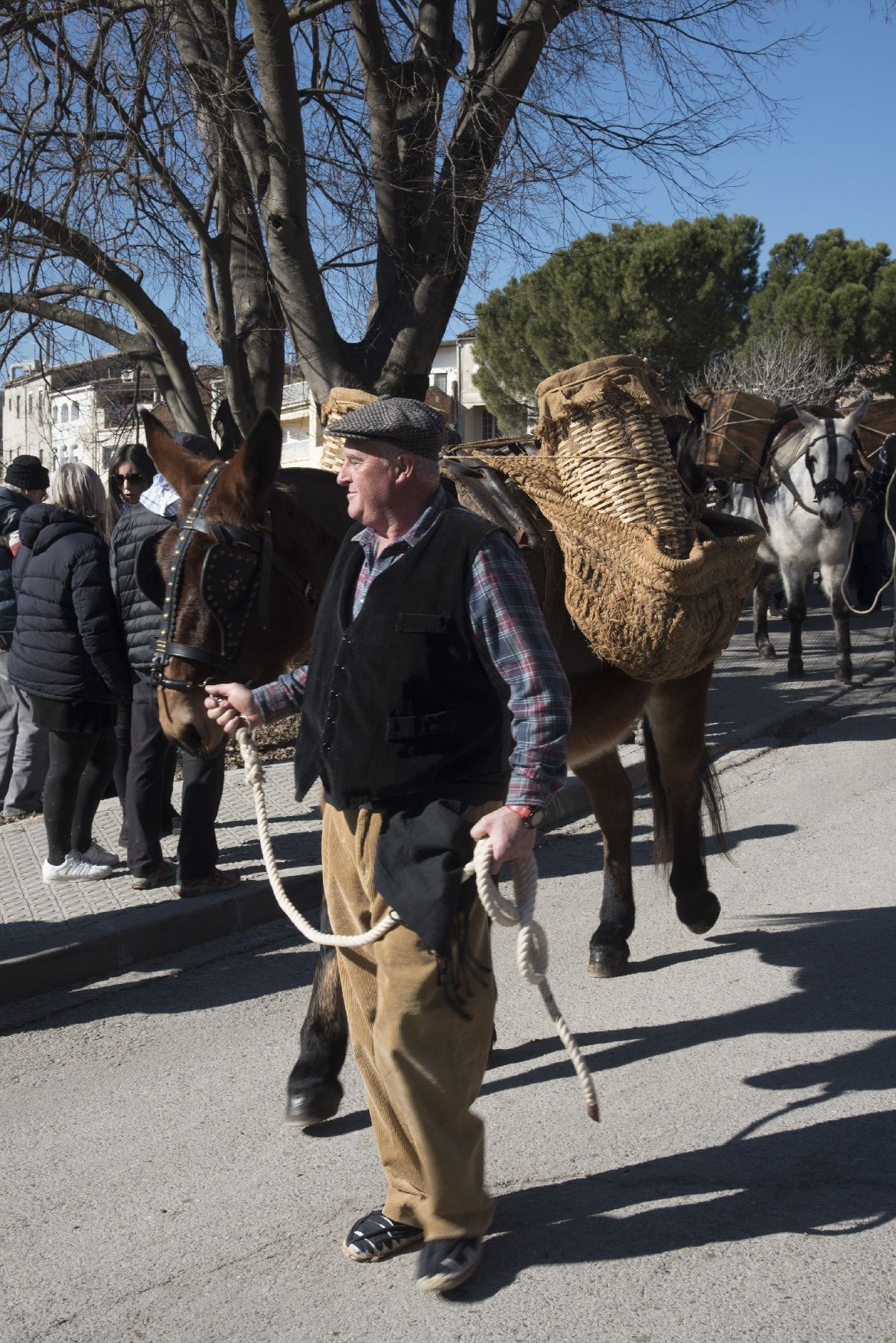 Les millors imatges dels Traginers de Balsareny