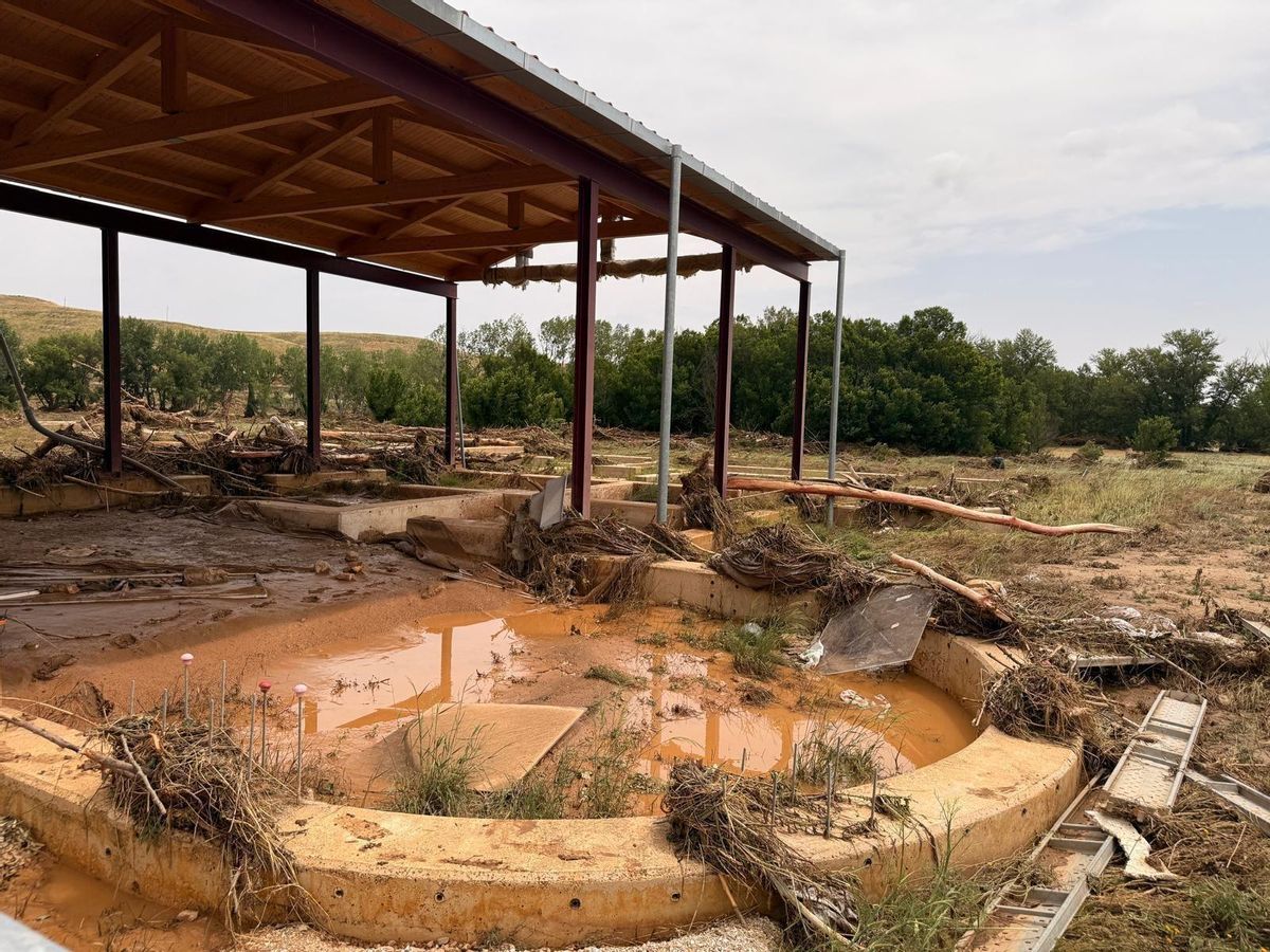 El barro ha de ser retirado antes de que se seque
