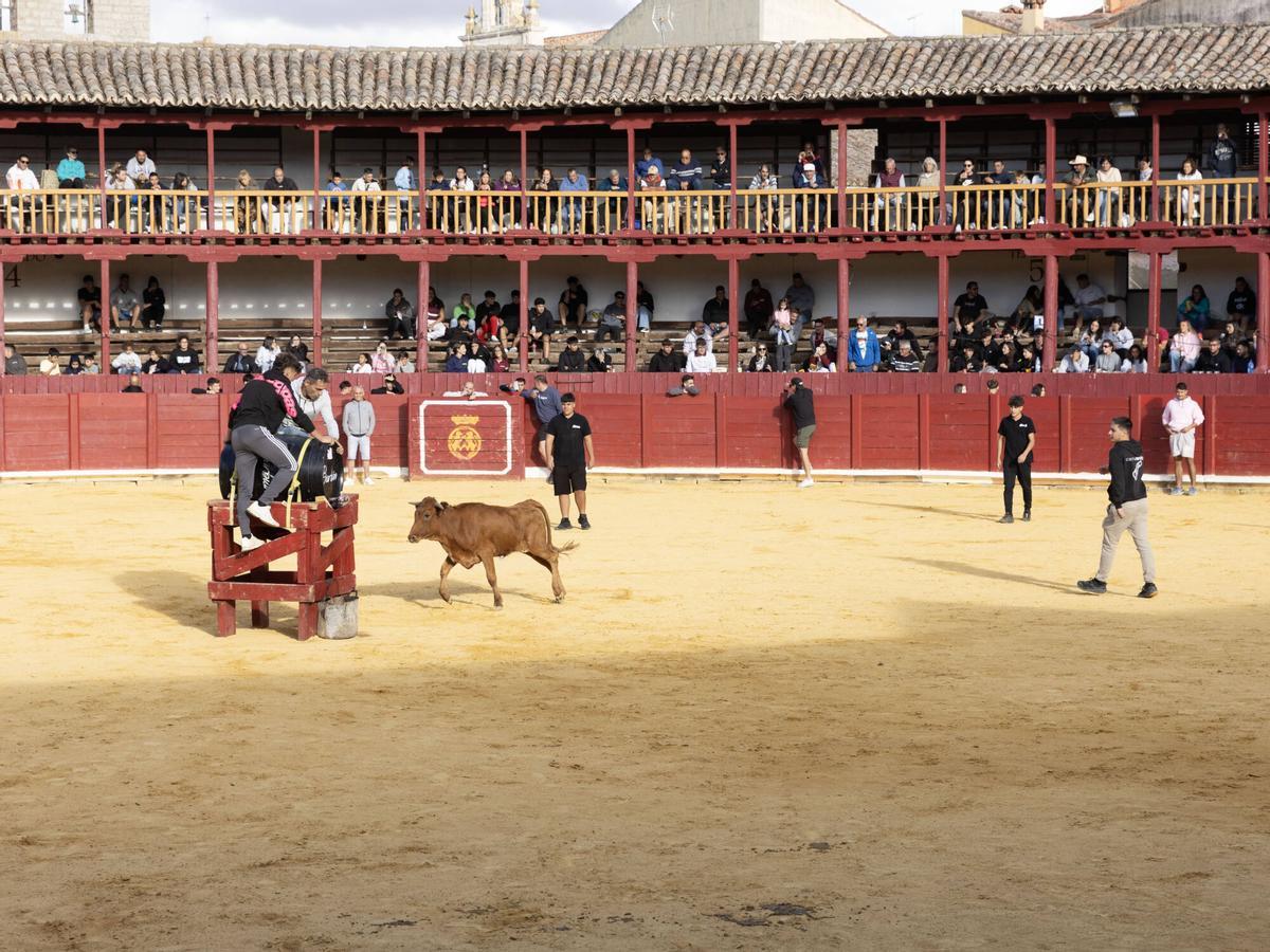 Tradicional Fuente de Vino, San Agustín 2026 Tradicional Fuente de Vino, San Agustín 2026