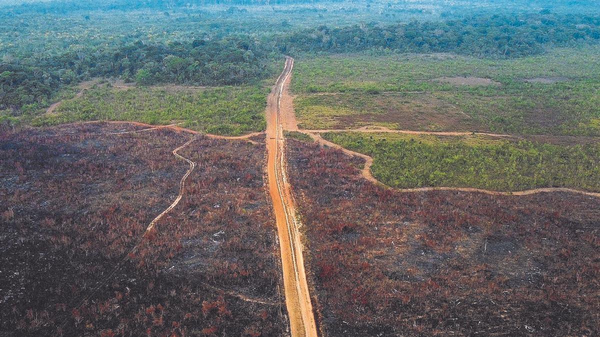 La Amazonia, arrasada por las motosierras y los incendios intencionados