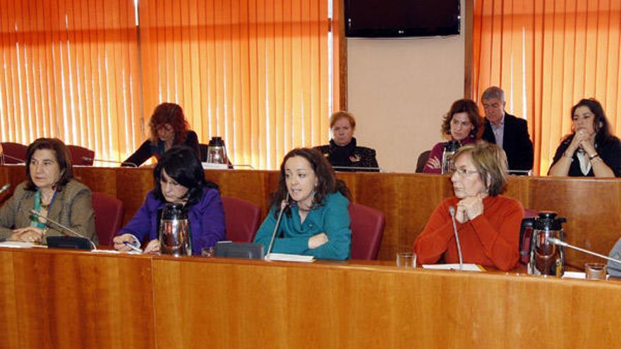 Representantes de asociaciones feministas, sindicatos y partidos durante el pleno del Consello Municipal da Muller.  // M.G.Brea