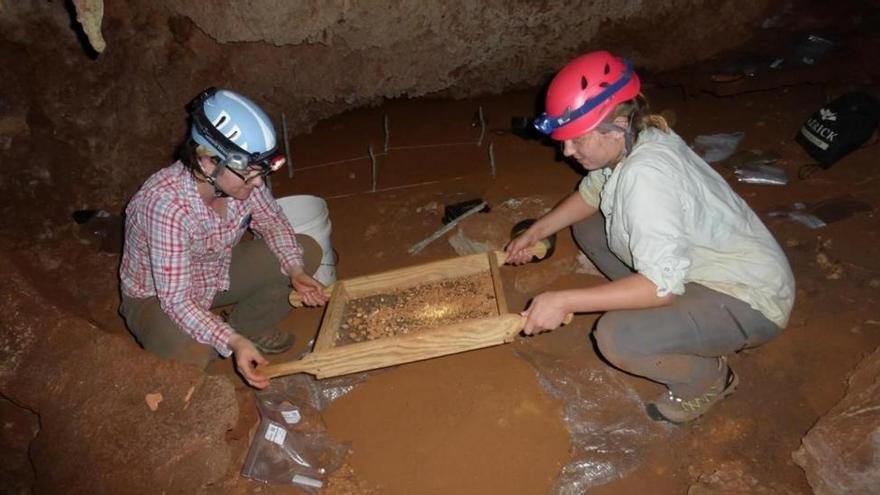 La llegada de los humanos al Caribe ocasionó una gran extinción de mamíferos