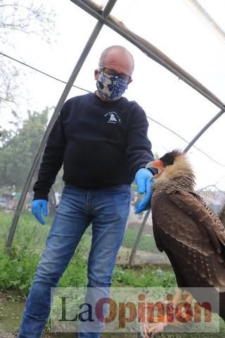 Las Águilas del Sol de Puerto Lumbreras piden ayud