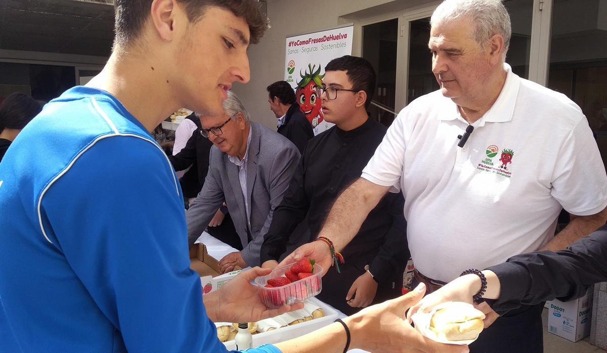Un joven recibe fresas y pan con aceite de oliva durante la promoción llevada a cabo en el IES Carmen Pantión de Priego.