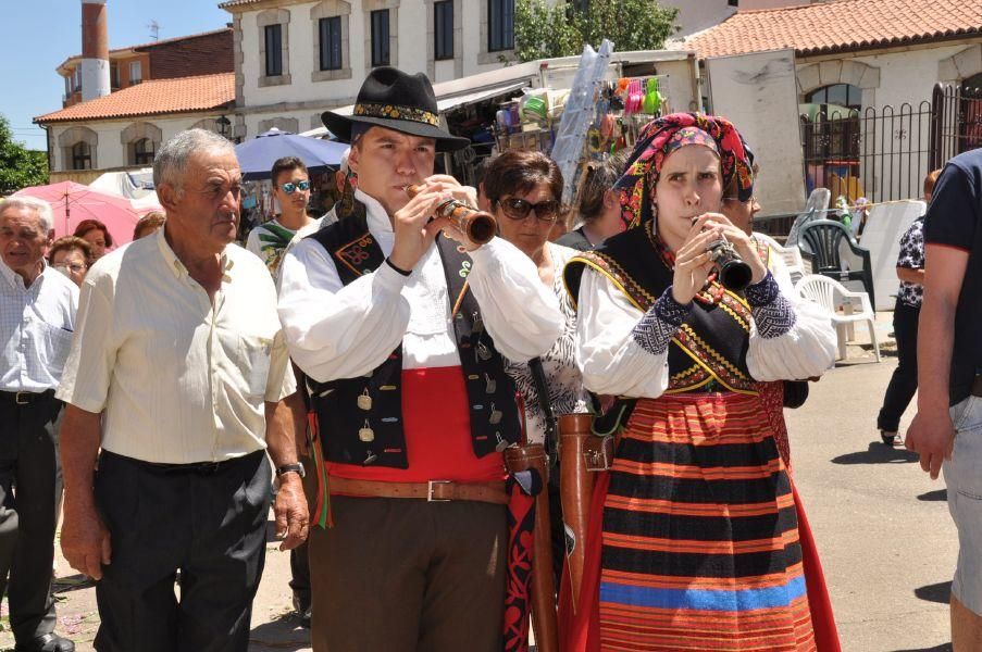Fiestas en Zamora: Virgen de la Salud en Alcañices
