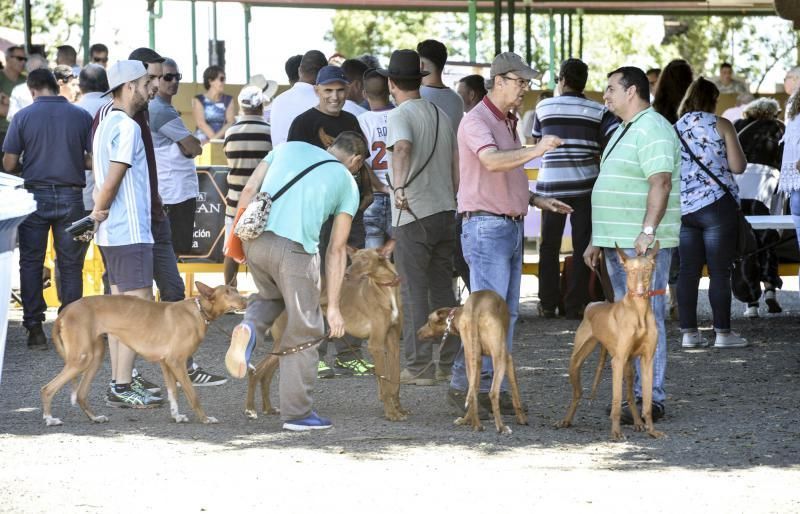 Feria Insular de Caza