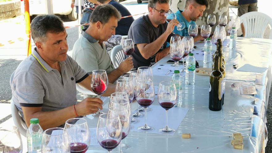 El tinta femia de Cela se postula a Festa de Interese Turístico de Galicia
