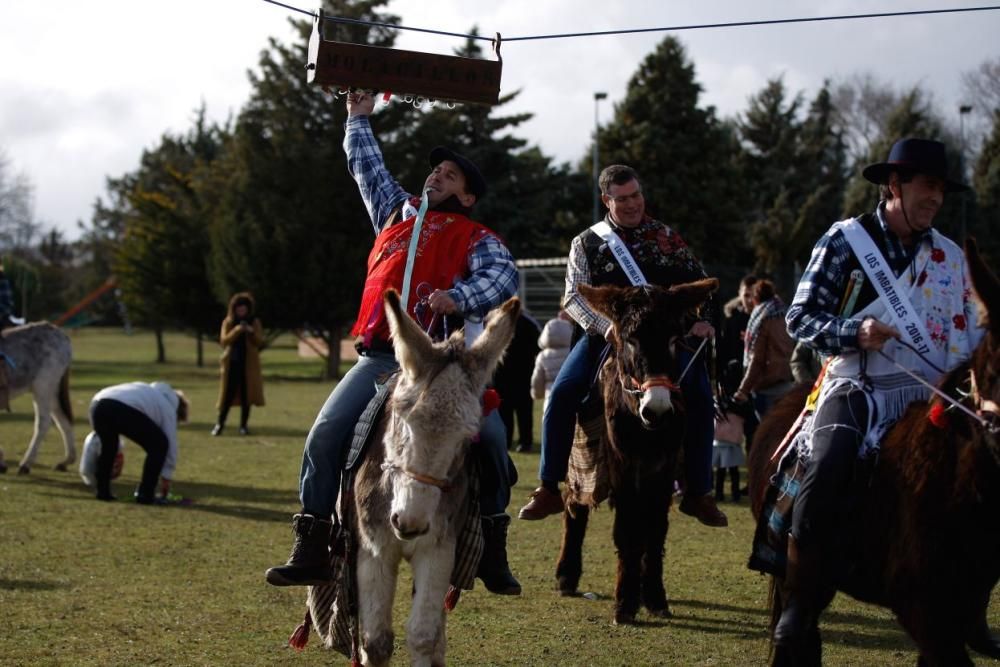 Carrera de cintas en burro en Molacillos.