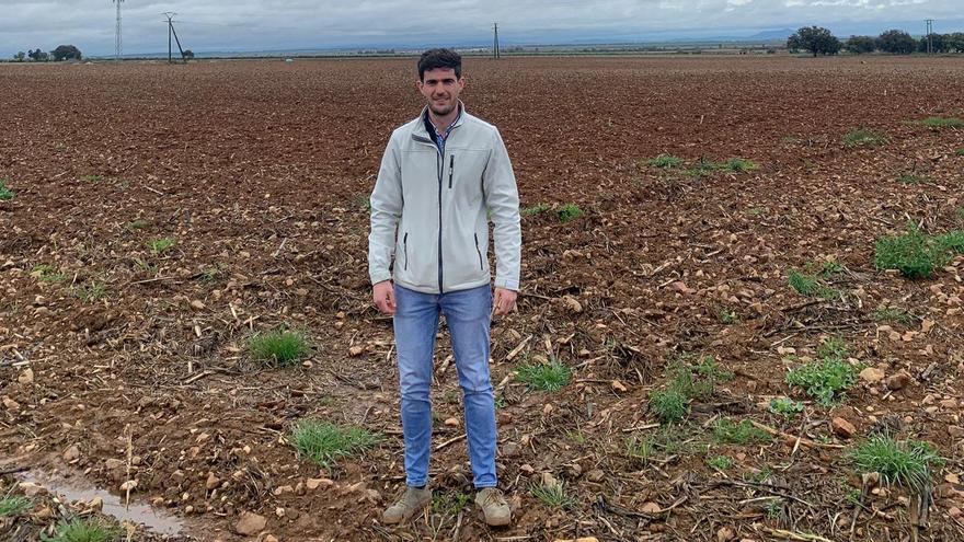 Pedro Fernández Rodríguez, en su explotación dedicada al cultivo de maíz, en Navalvillar de Pela.