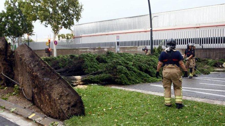 Los bomberos rematan los servicios por la tormenta con otra veintena