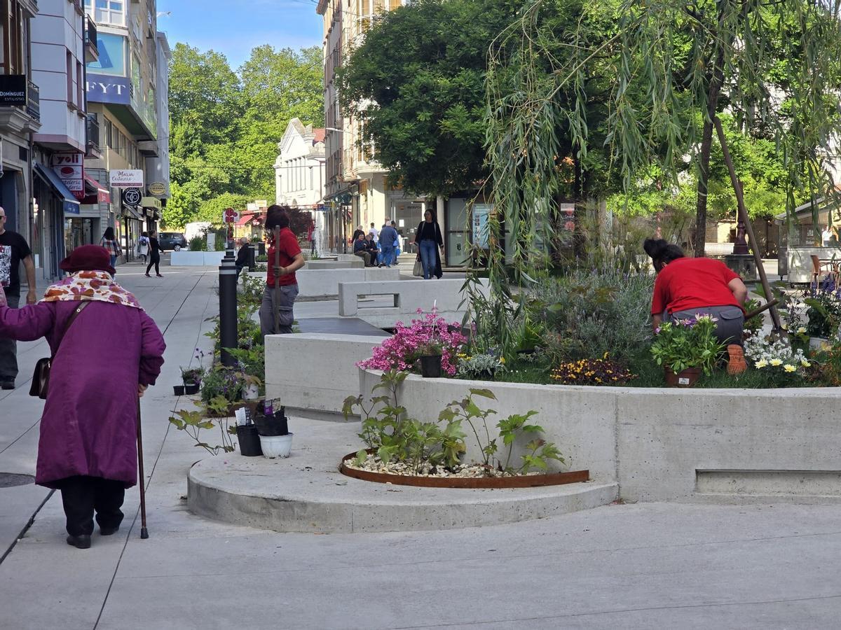 Los operarios municipales se encargan esta mañana de recuperar los deteriorados jardines de la peatonalizada calle de Arzobispo Lago, en Vilagarcía.