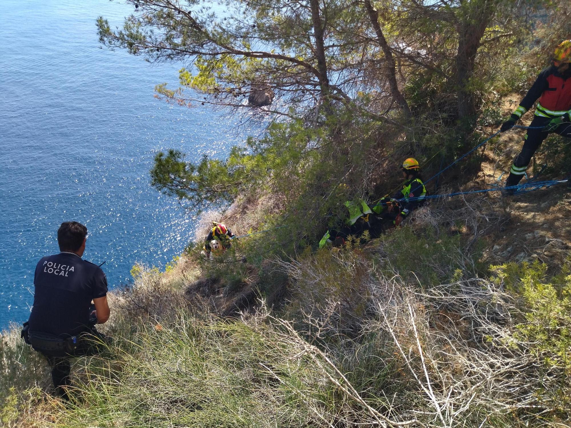 Las imágenes del rescate del perro que ha caído de 30 metros en el acantilado de Xàbia
