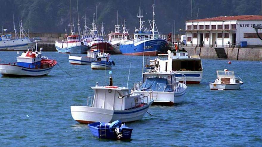 Imagen de varias embarcaciones amarradas en el puerto de Cedeira. j. antón