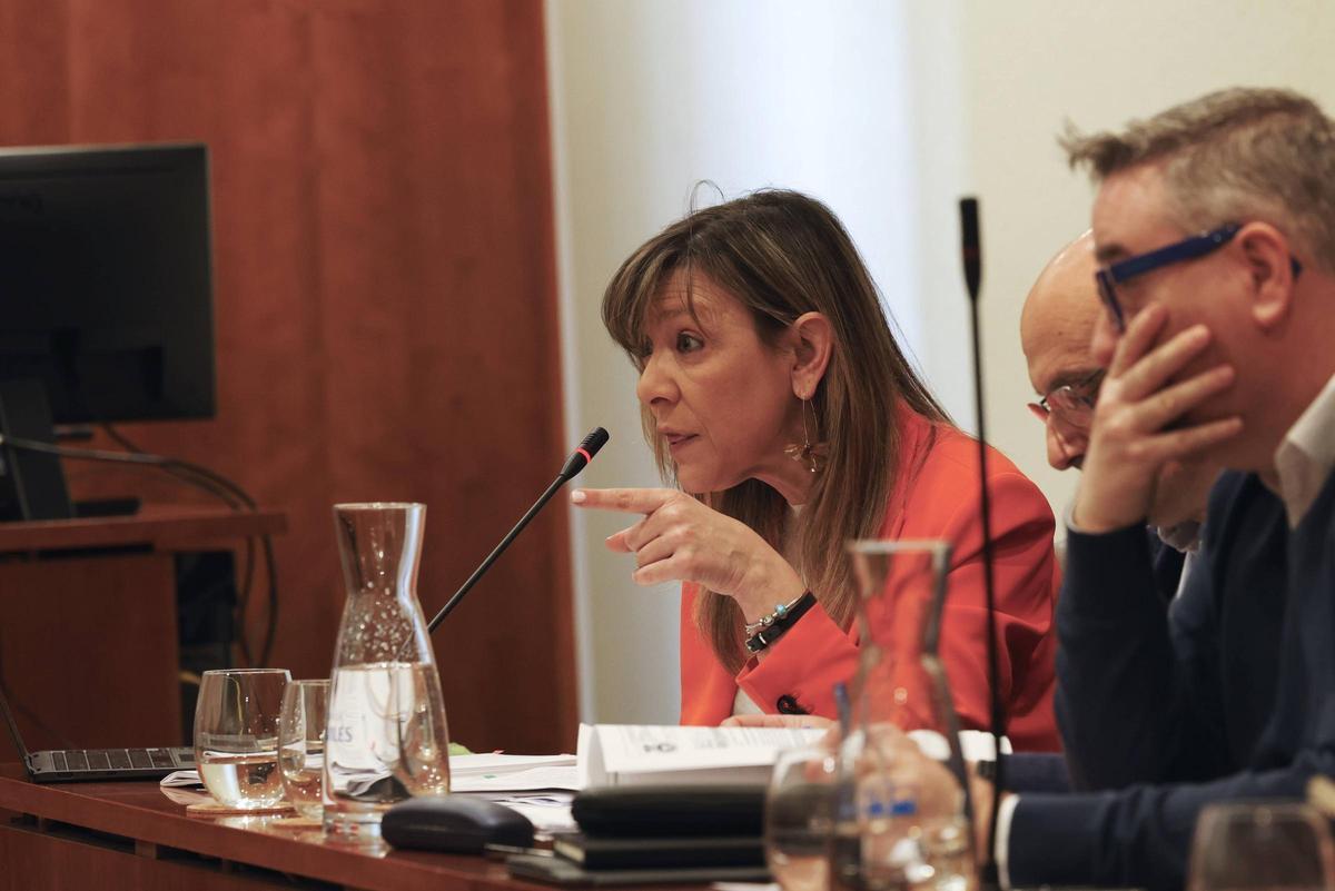 Esther Llamazares, en un momento del Pleno