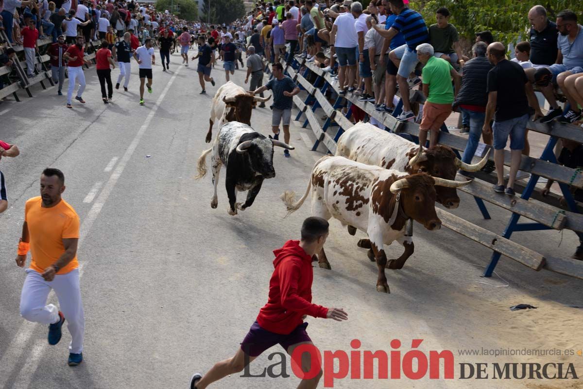 Primer encierro de la Feria del Arroz de Calasparra