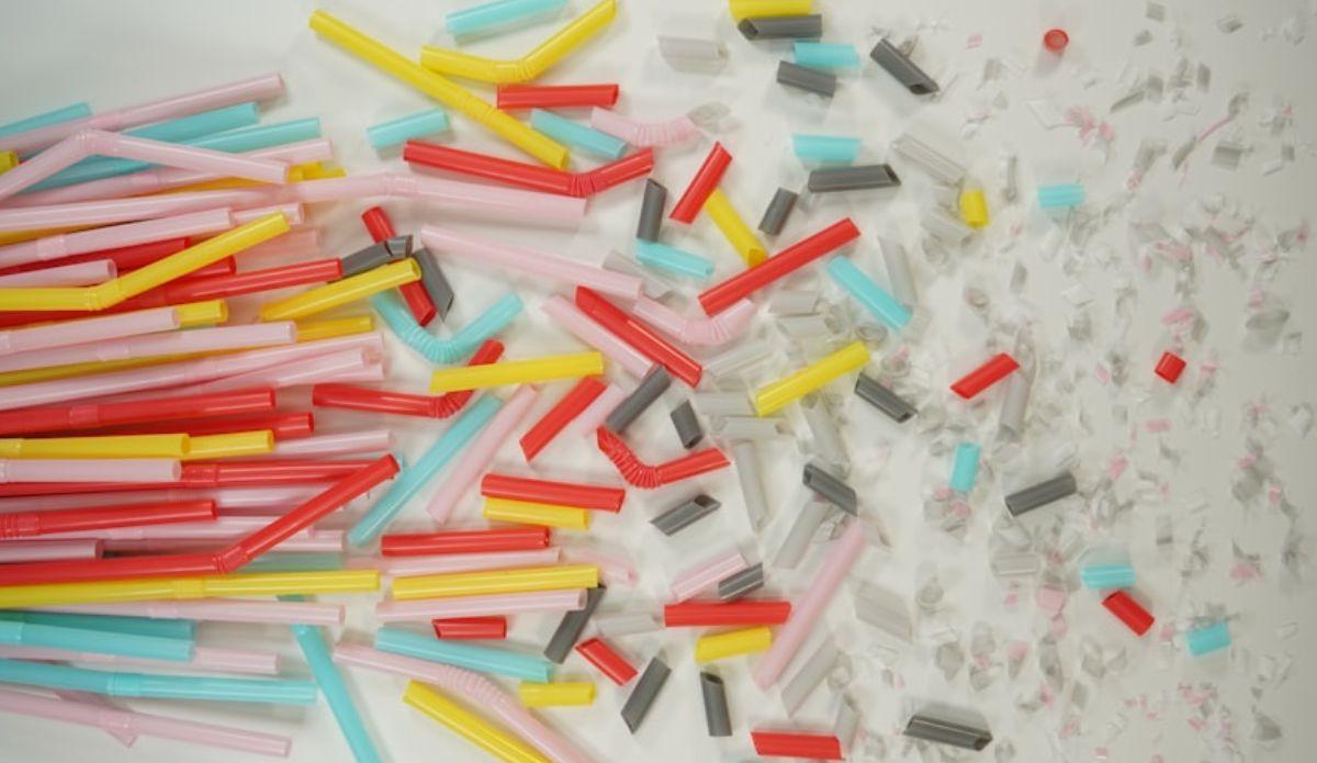 Microplásticos y neurodegeneración: nuevo estudio enciende la alarma.