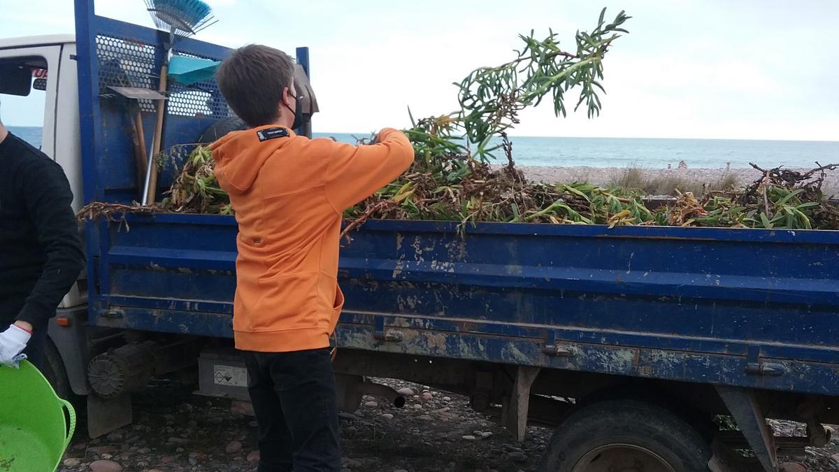 Retirada de las plantas invasoras