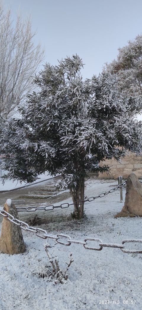 GALERÍA | La nieve también se deja ver en Ricobayo de Alba