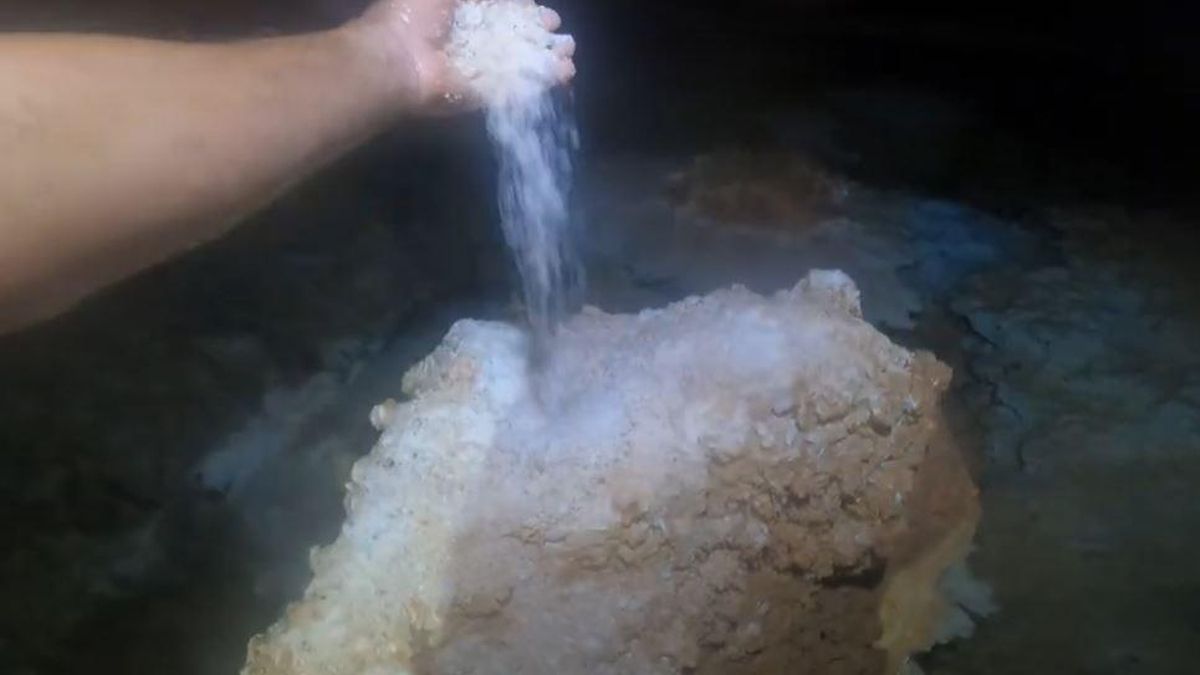 Captura de pantalla del video entregado por la FBE al Seprona para demostrar los daños causados en la cavidad.