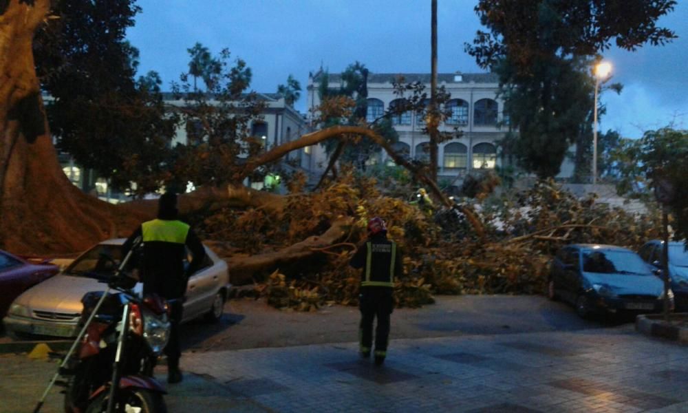 Las incidencias de la borrasca Ana en Málaga