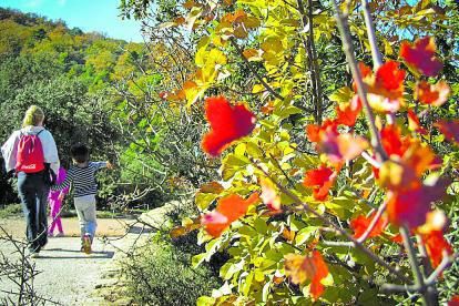 alcoi vivir la font roja | L-EMV 