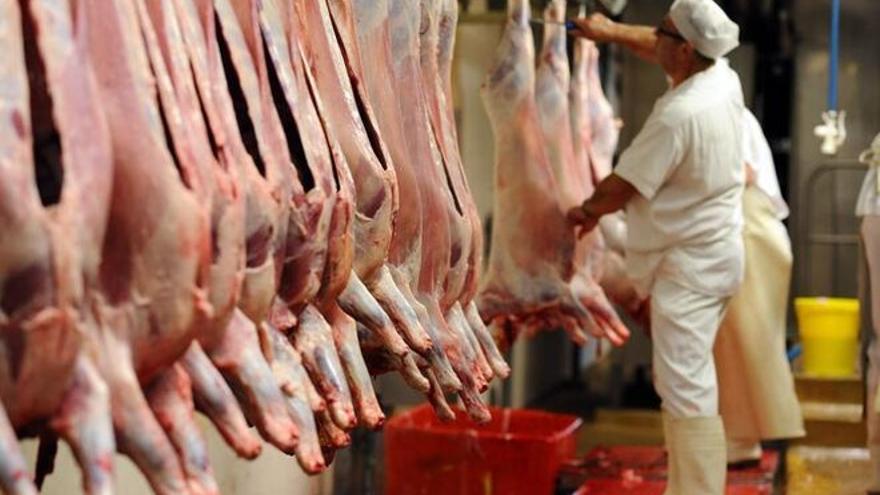 El preu del porc s’enfila un 23% en tres mesos