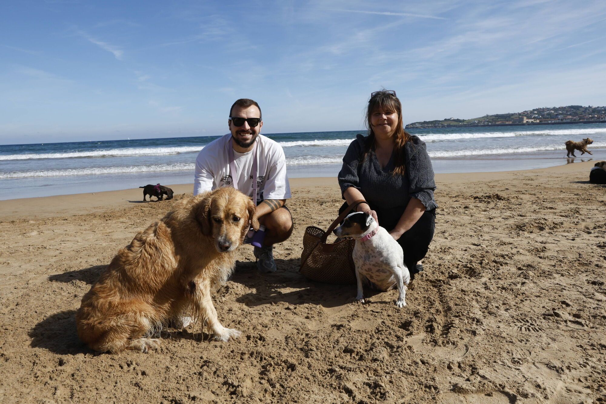 Regreso de los perros a la playa de San Lorenzo.