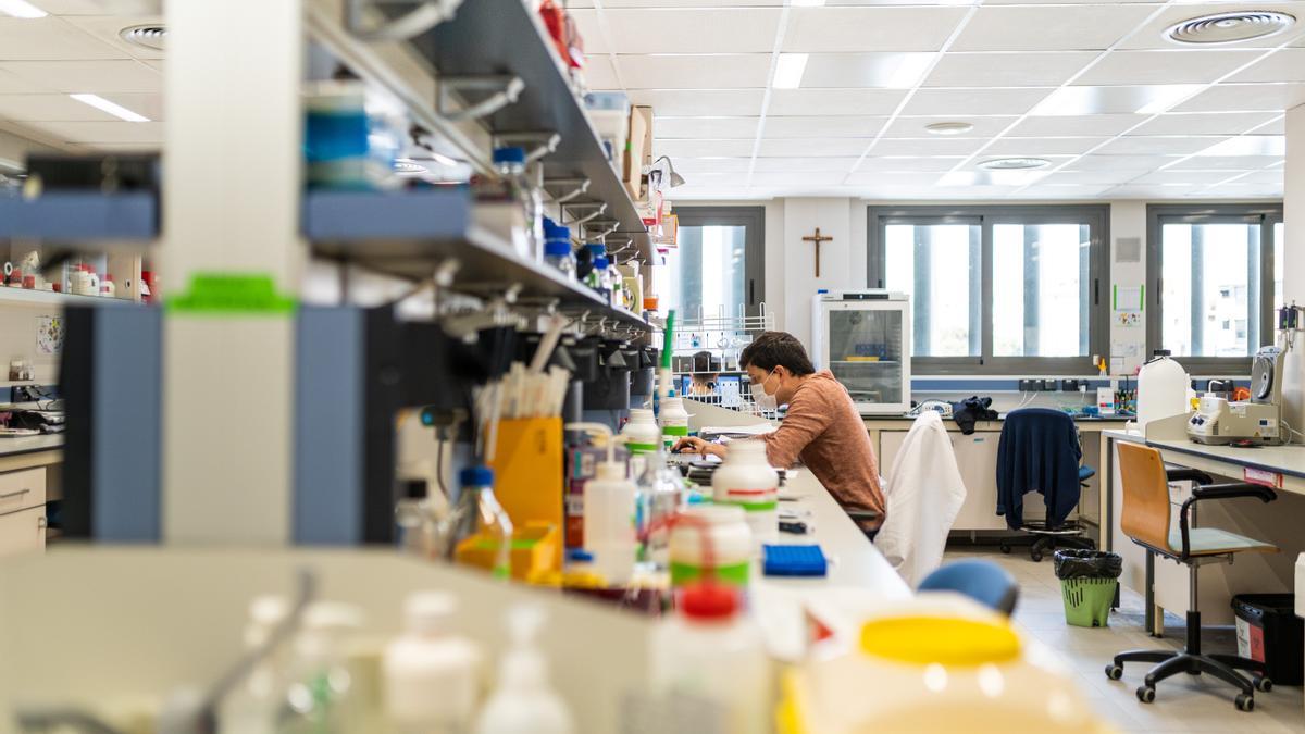 Un alumno trabaja en uno de los laboratorios de la Universidad Católica de València.