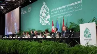 Acuerdo histórico en Montreal para proteger el 30% de la Naturaleza en 2030