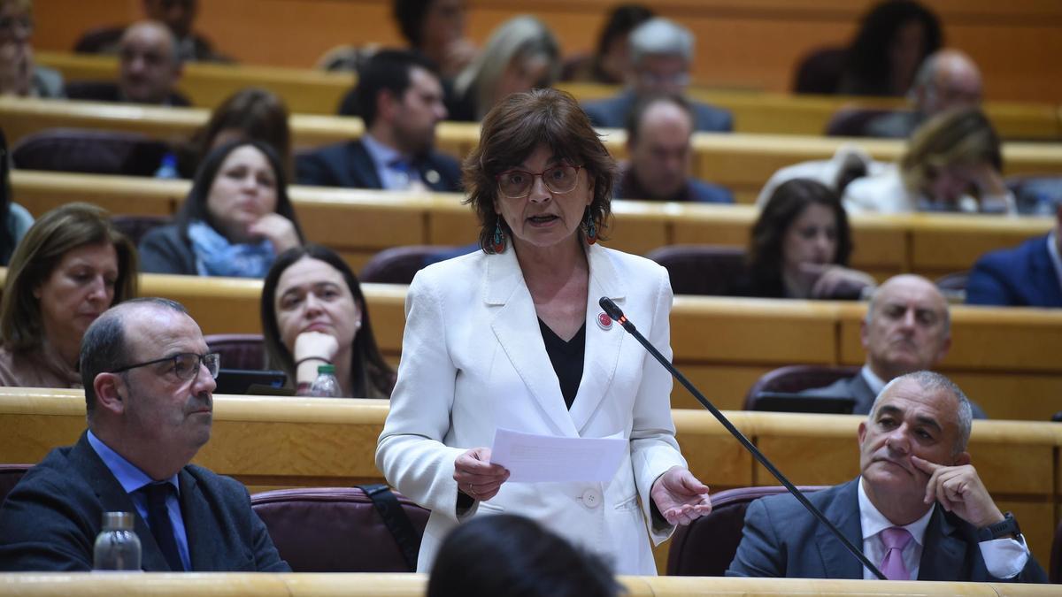 El presidente del Senado reprende a Da Silva por hablar en gallego cuando lo hacía en castellano