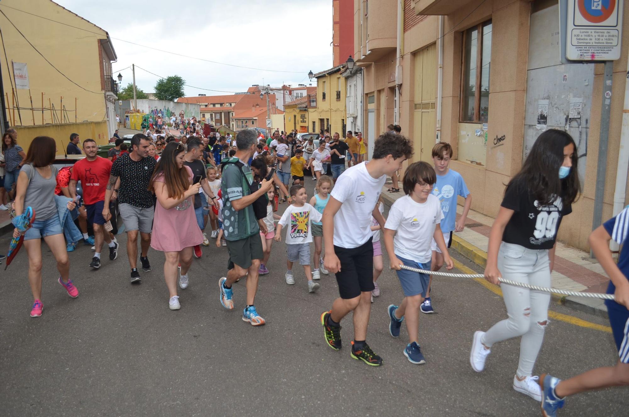 Fiestas del Toro: Así corren los carretones en Benavente