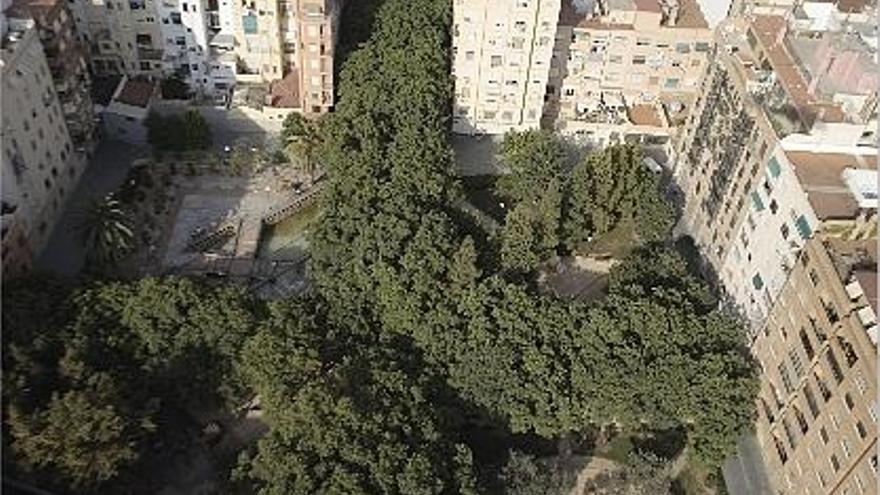 un bosque urbano. Vista aérea de la arboleda de gran porte de la plaza de Manuel Granero.