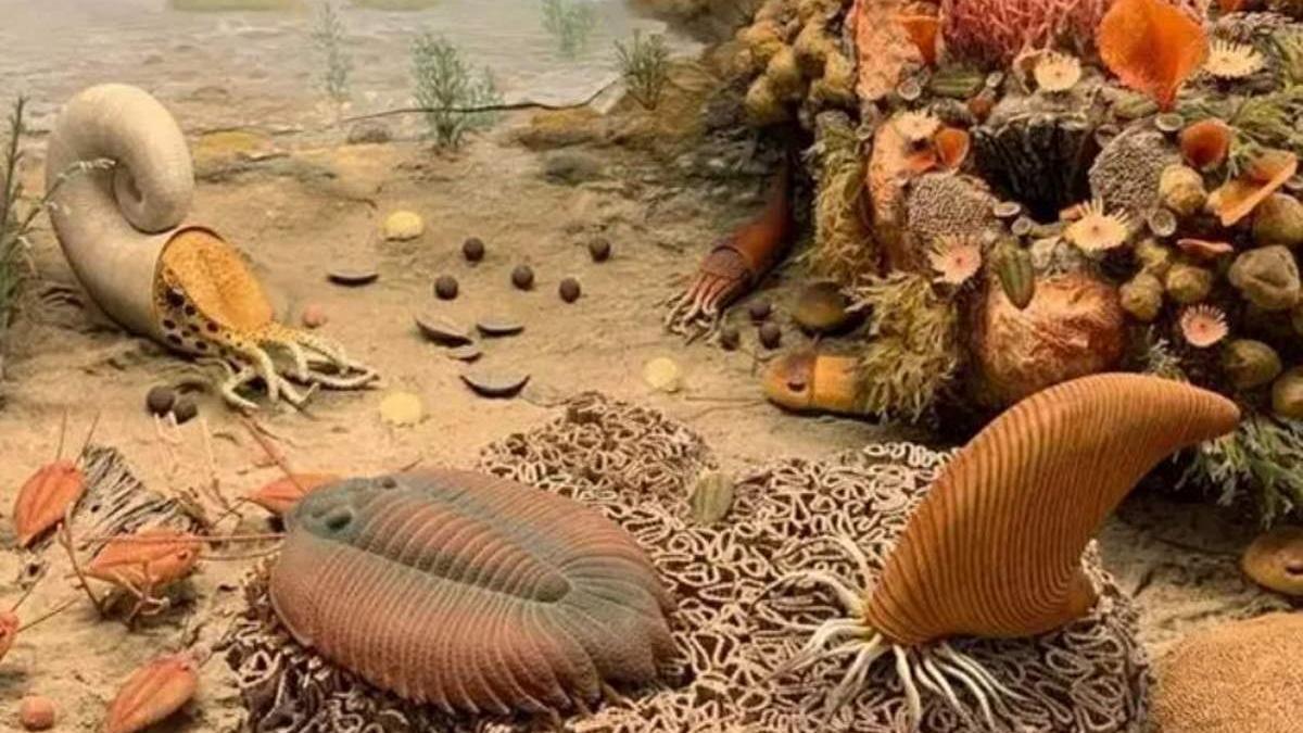 Los trilobites tenían órganos respiratorios en sus patas.