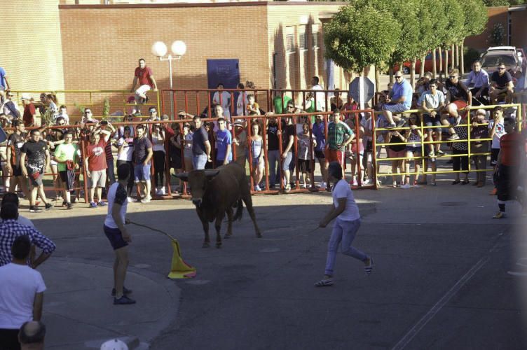 Fiestas de Santa Cristina de la Polvorosa 2017